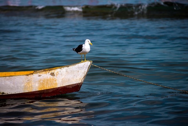 Barco na orla de Armação dos Búzios